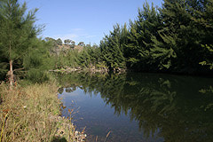 April 2005, pristine 
trout conditions, and yes they were here.