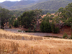 Plenty of puddles 
of water, just no real connection between them.