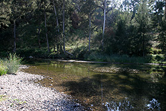 The good old days, 
crystal clear water and trout lurking within.