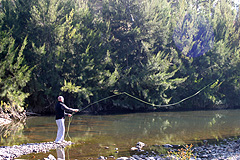 Casting a fly into 
trout water!