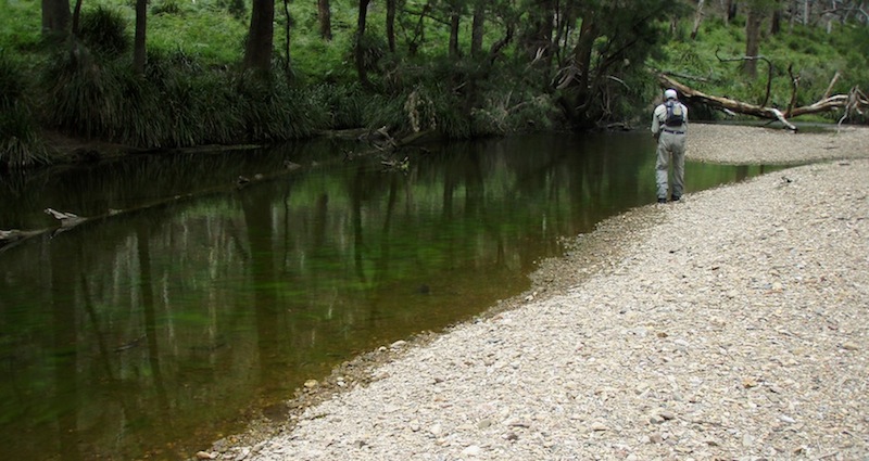 Crystal clear Turon stalking