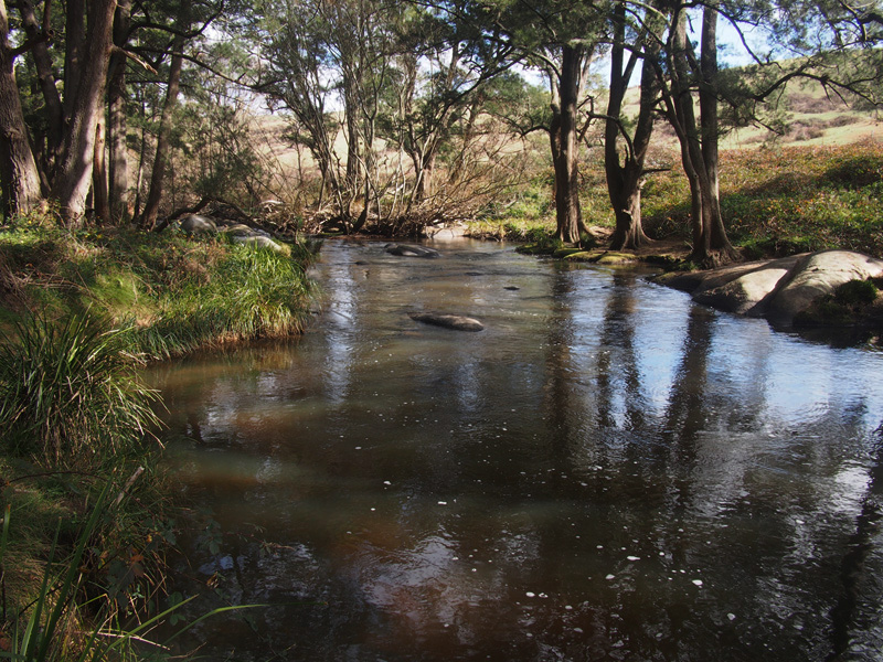 Flowing dirty and a little 
high, the Fish River