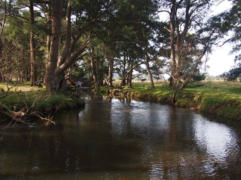 Rory on top of some 
riffles