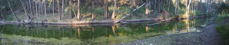 Turon River, little flow 
and looking green